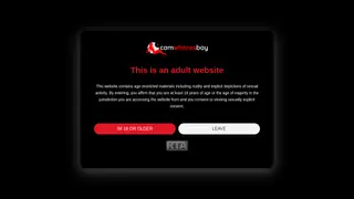 CamWhoresBay screenshot preview