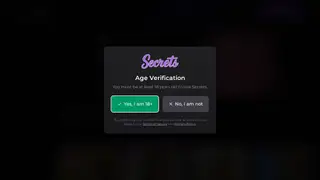 Secrets.ai screenshot preview